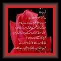 Sahid_u_Allah Shah 03 * 19.04.2007 * 499 x 883 * (39KB)